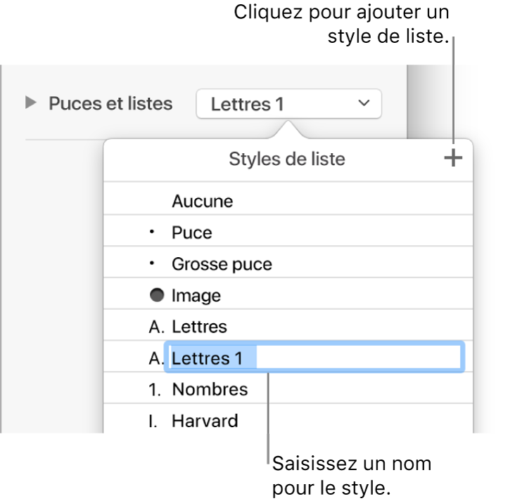 Menu contextuel Styles de liste avec un bouton Ajouter dans le coin supérieur et un nom de style de paramètre fictif dont le texte est sélectionné.