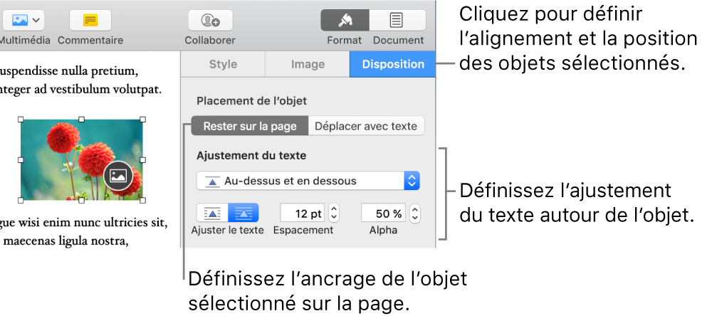 Le menu Format avec la barre latérale Disposition affichée. Les réglages Placement d’objet sont en haut de la barre latérale Disposition, au-dessus des réglages Ajustement du texte.