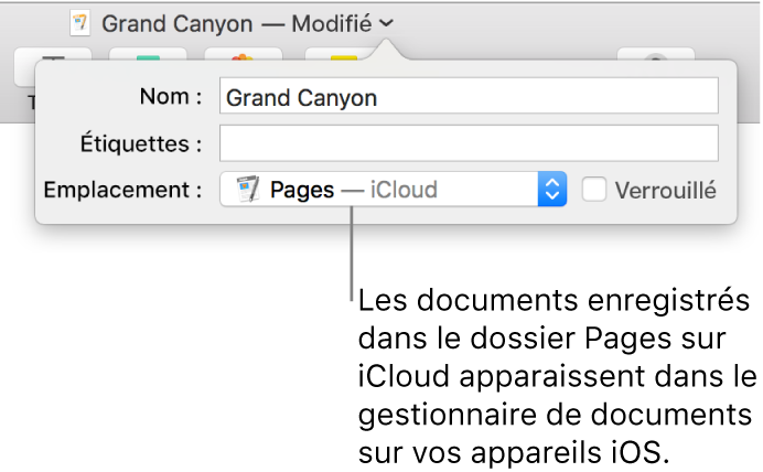 Zone de dialogue d’enregistrement d’un document avec Pages (iCloud dans le menu contextuel Emplacement).