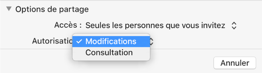 Section Options de partage de la zone de dialogue de collaboration avec le menu contextuel Autorisation ouvert et l’option « Peut modifier » sélectionnée.