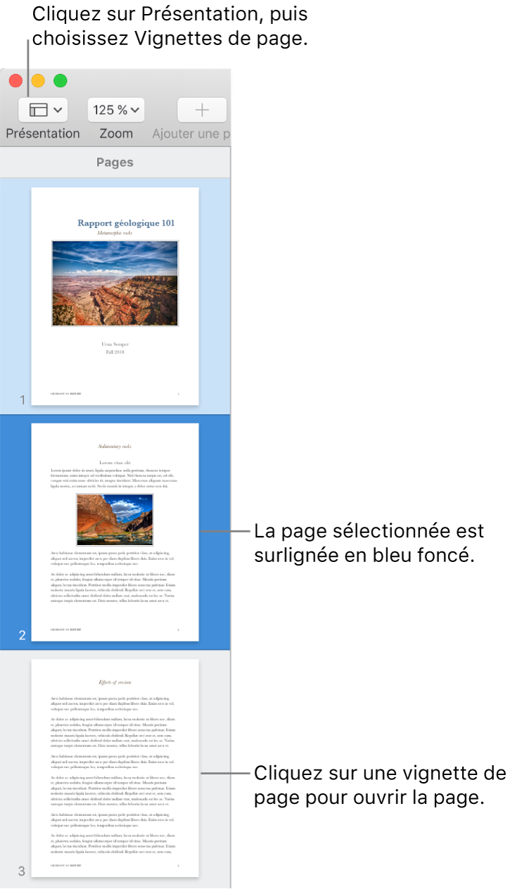 La barre latérale du côté gauche de la fenêtre Pages contenant la présentation Vignettes de page ouverte et la page sélectionnée surlignée en bleu foncé.