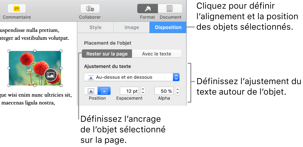 Le menu Format avec la barre latérale Disposition affichée. Les réglages « Placement objet » sont en haut de la barre latérale Disposition, avec les réglages « Ajustement du texte » en dessous.