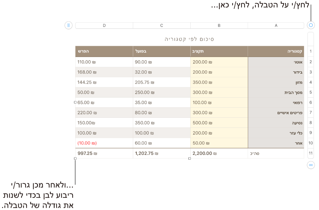 טבלה שנבחרה, עם ריבועים לבנים לשינוי גודל.