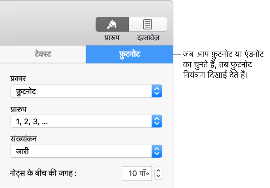 प्रकार, फ़ॉर्मैट, संख्यांकन और नोट्स के बीच की जगह के लिए पॉपअप मेनू दिखाती “फ़ुटनोट” पैन।