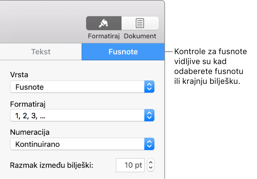 Prozor Fusnote s prikazom skočnih izbornika za stavke Vrsta, Format, Numeriranje i prostorom između bilješki.