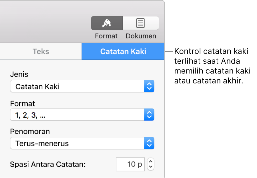 Panel Catatan Kaki menampilkan menu pop-up untuk Jenis, Format, Penomoran, dan spasi di antara catatan.