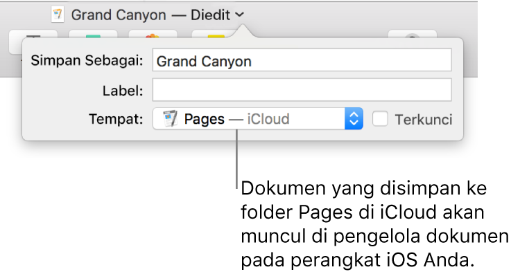 Dialog Simpan untuk dokumen dengan Pages—iCloud di menu pop-up Tempat.