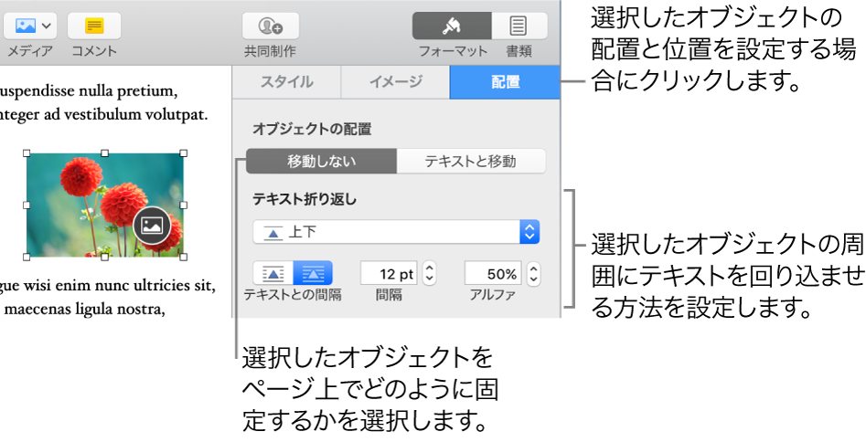 「フォーマット」メニュー。「配置」サイドバーが表示されています。「オブジェクトの配置」設定は、「配置」サイドバーの上部にあり、「テキスト折り返し」の設定は下部にあります。