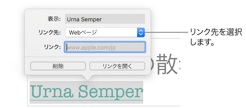 「リンク設定」コントロール。「表示」フィールド、「リンク先」（「Webページ」に設定された状態）、および「リンク」フィールドがあります。コントロールの下部に「削除」ボタンと「リンクを開く」ボタンがあります。