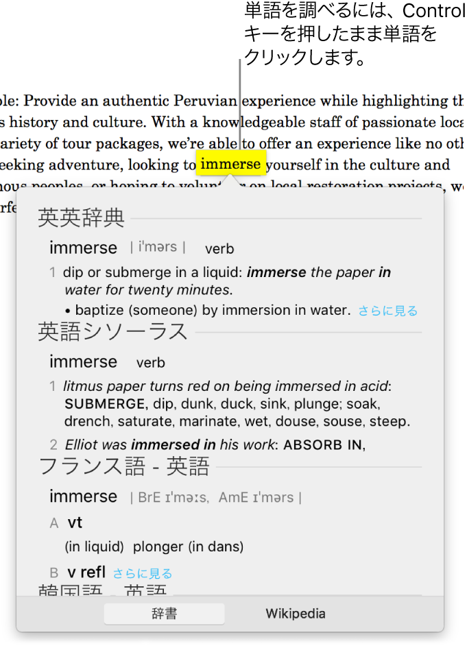 段落内で強調表示された単語とその定義およびシソーラスエントリーが表示されたウインドウ。ウインドウの下部にある2つのボタンは、辞書とWikipediaへのリンクになっています。