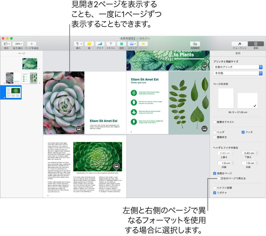 Macのpages書類に見開きページを設定する Apple サポート