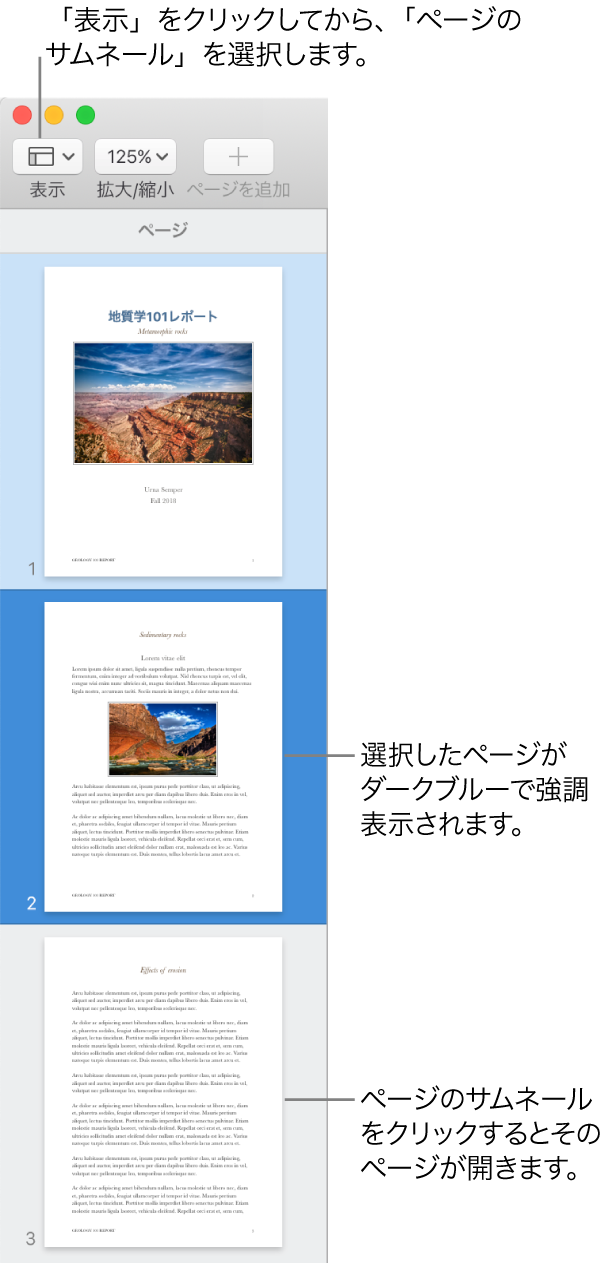 「Pages」ウインドウの左側のサイドバー。ページのサムネール表示が開いていて、選択したページがダークブルーでハイライトされています。