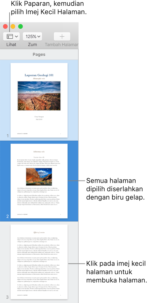 Bar sisi di sebelah kiri tetingkap Pages dengan paparan Imej Kecil Halaman terbuka dan halaman dipilih diserlahkan dengan warna biru gelap.