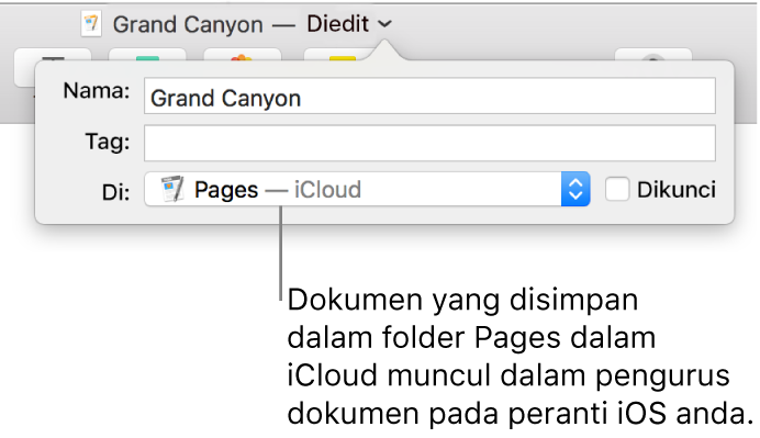 Dialog Simpan untuk dokumen dengan Pages—iCloud dalam menu timbul Tempat.