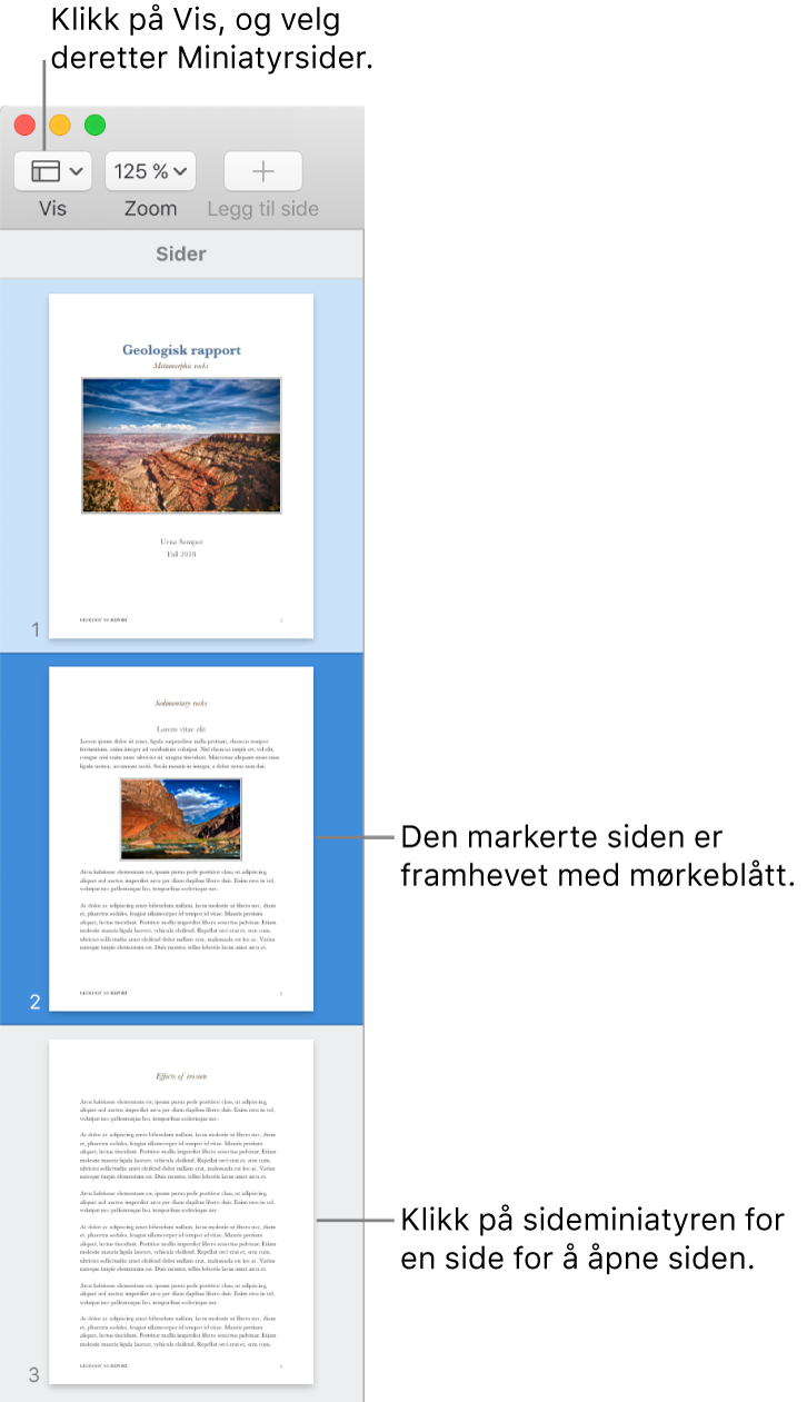 Sidepanelet til venstre for Pages-vinduet med sideminiatyrvisning åpent, og en markert side uthevet i mørkeblått.