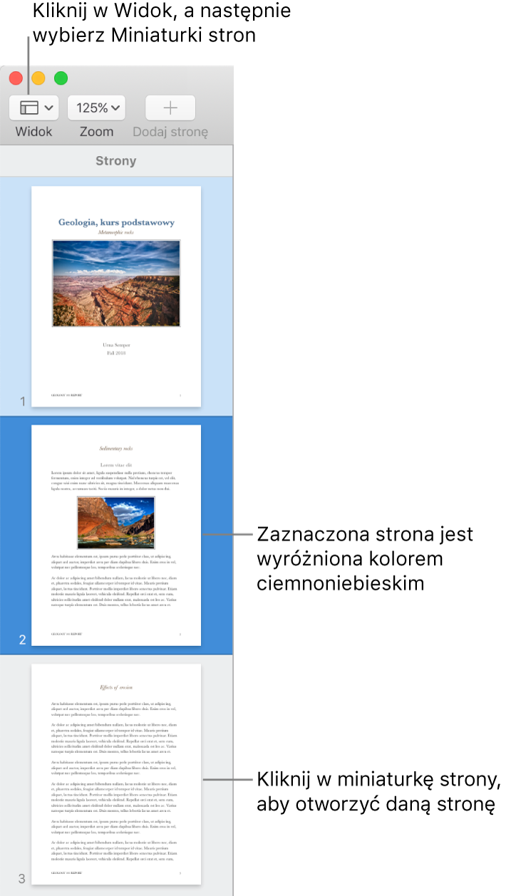 Pasek boczny po lewej stronie okna Pages, wyświetlający widok miniaturek stron. Zaznaczona strona wyróżniona jest kolorem ciemnoniebieskim.