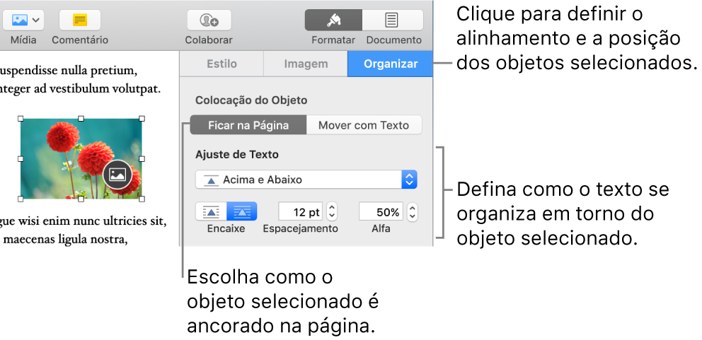 O menu Formatar com a barra lateral Organizar exibida. Os ajustes de “Colocação do Objeto” estão na parte superior da barra lateral Organizar, com os ajustes de “Ajuste de Texto” abaixo.