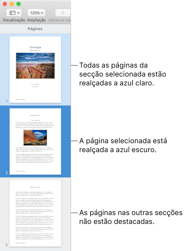 A barra lateral de vista das miniaturas com a página selecionada destacada a azul escuro e todas as páginas na secção selecionada destacadas a azul claro.