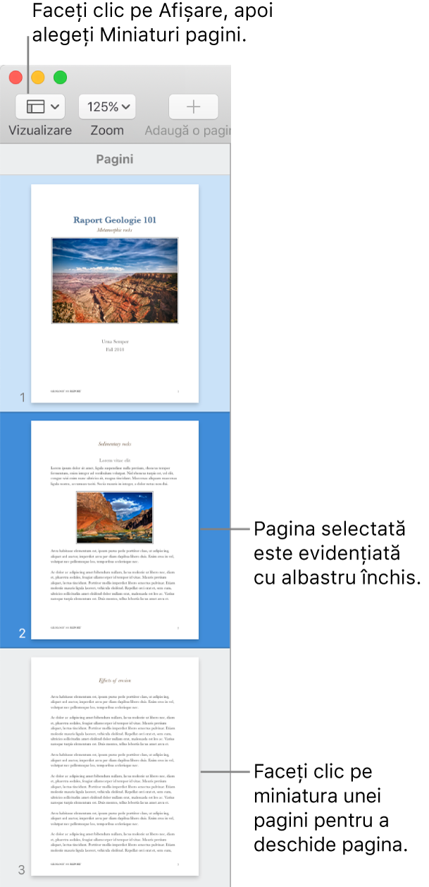 Bara laterală din partea stângă a ferestrei Pages, având deschisă vizualizarea Miniaturi pagini și o pagină selectată evidențiată cu albastru închis.