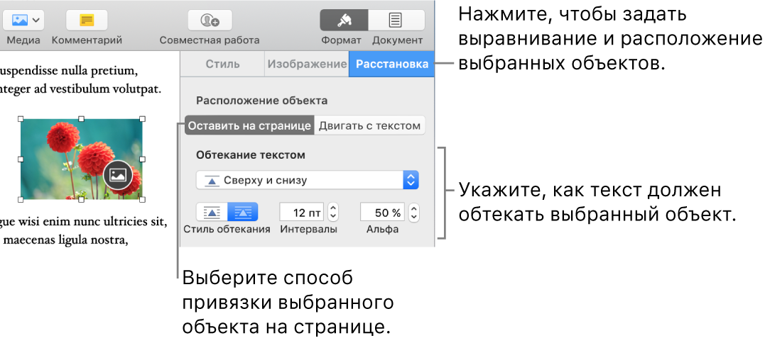 Меню «Формат» с боковой панелью «Расстановка». Вверху боковой панели «Расстановка» находится раздел настроек «Расположение объекта», а под ним — «Обтекание текстом».