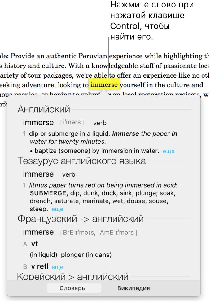 Абзац с выделенным словом и окно, в котором показано определение слова и статья толкового словаря. Две кнопки внизу окна обеспечивают доступ к словарю и Википедии.