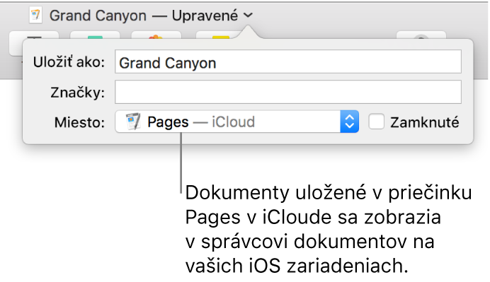 Dialógové okno Uložiť dokumentu Pages – iCloud vo vyskakovacom menu Miesto.