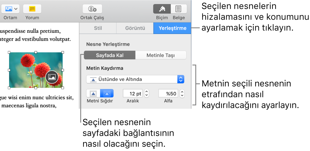 Yerleştir kenar çubuğu görüntülenen Biçim menüsü. Nesne Yerleştirme ayarları, Yerleştir kenar çubuğunun en üstünde, altında Metin Kaydırma ayarları ile yer alır.