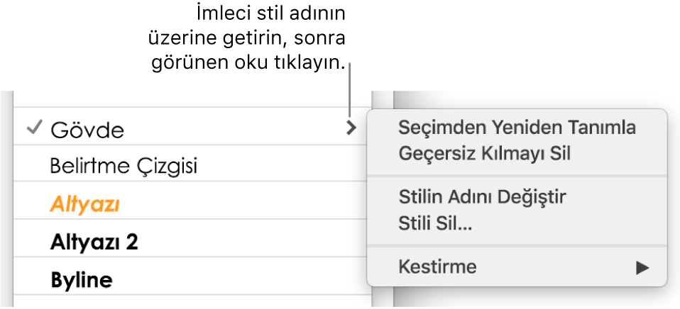 Kestirme menüsünün açık olduğu Paragraf Stilleri menüsü.