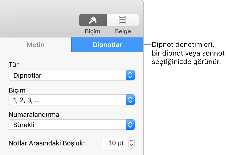 Tip, Biçim, Numaralandırma ve notlar arasındaki aralık için açılır menüleri gösteren Dipnotlar bölmesi.