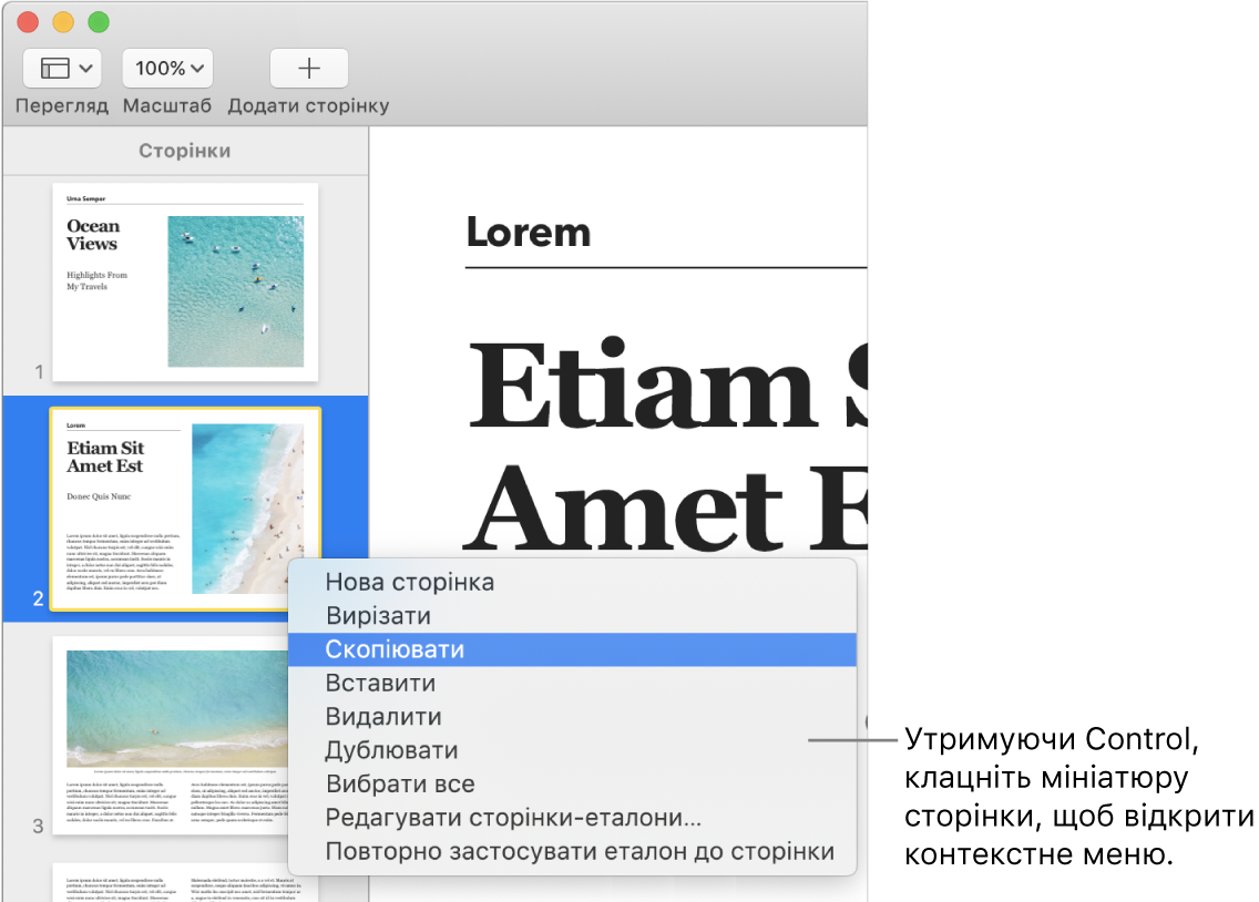 Перегляд мініатюр сторінок з одною вибраною мініатюрою і відкритим контекстним меню.