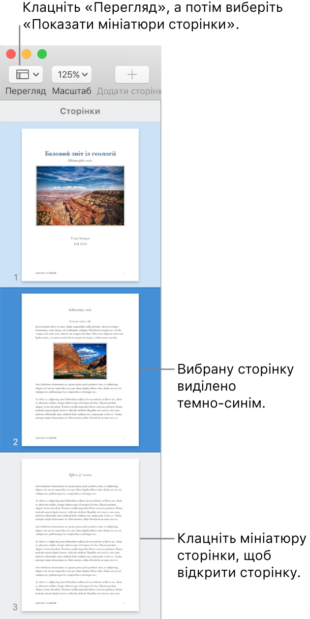 Бокова панель зліва вікна Pages з мініатюрами сторінок і вибраною сторінкою, виділеною темно-синім.