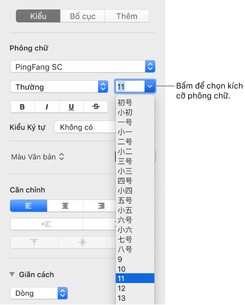 Phần Kiểu của thanh bên Định dạng với menu bật lên cỡ chữ được mở. Các cỡ chữ tiêu chuẩn của chính phủ Trung Quốc đại lục xuất hiện ở đầu menu, cùng với các kích cỡ tính theo điểm ở bên dưới.