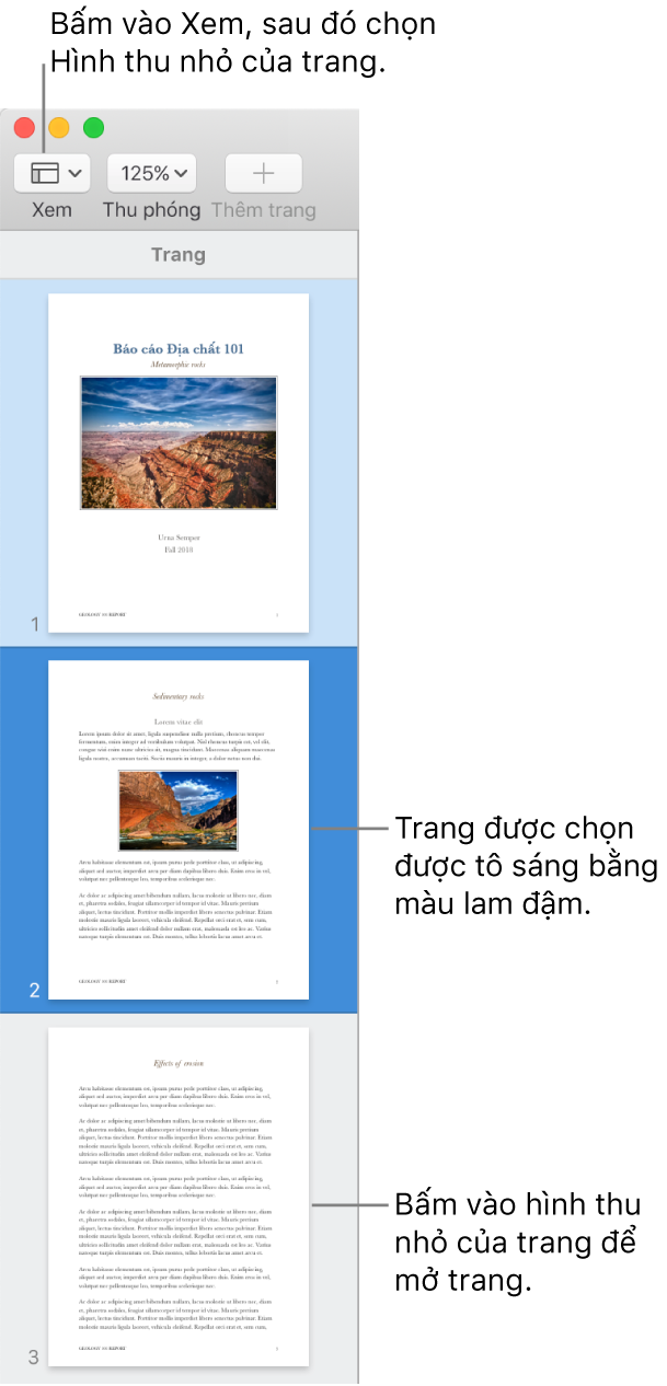 Thanh bên ở bên trái của cửa sổ Pages với chế độ xem Hình thu nhỏ của trang được mở và trang được chọn được tô sáng ở màu lam sẫm.
