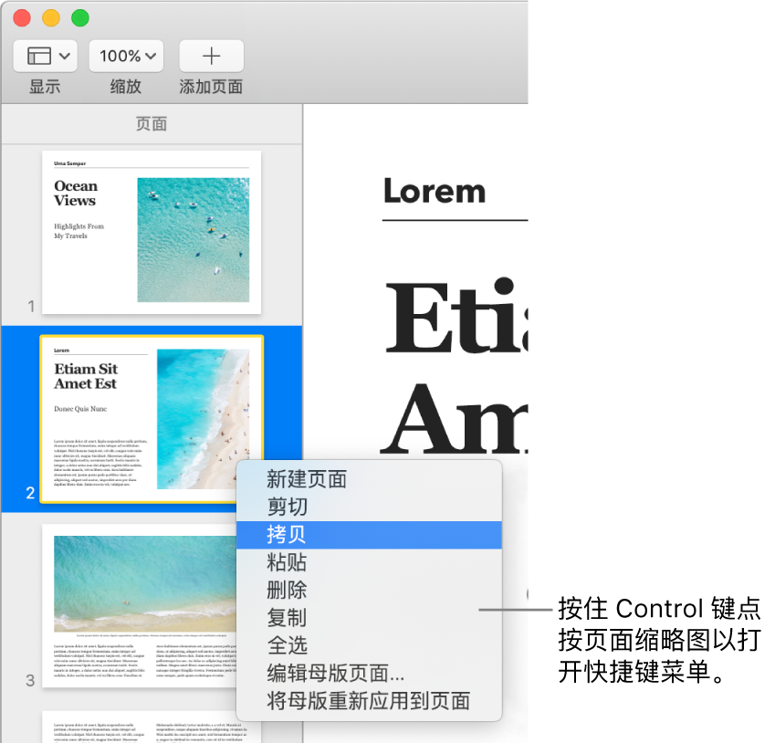 “页面缩略图”视图，其中一个缩略图被选中，快捷键菜单打开。