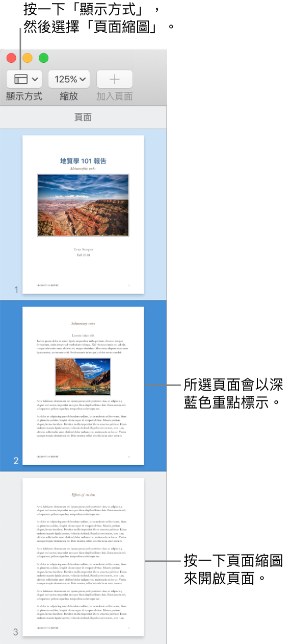 Pages 視窗左側的側邊欄中開啟了「頁面縮圖」顯示方式，所選擇的頁面以深藍色重點標示。