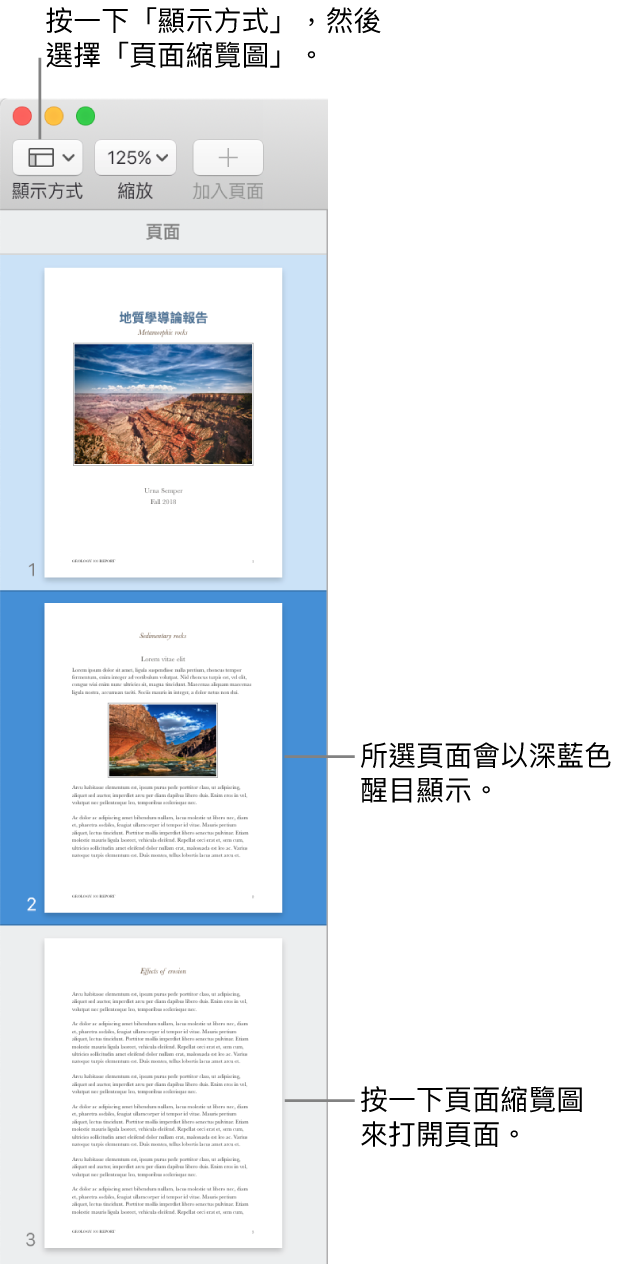 Pages 視窗左側的側邊欄中打開了「頁面縮覽圖」顯示方式，所選擇的頁面以深藍色反白顯示。