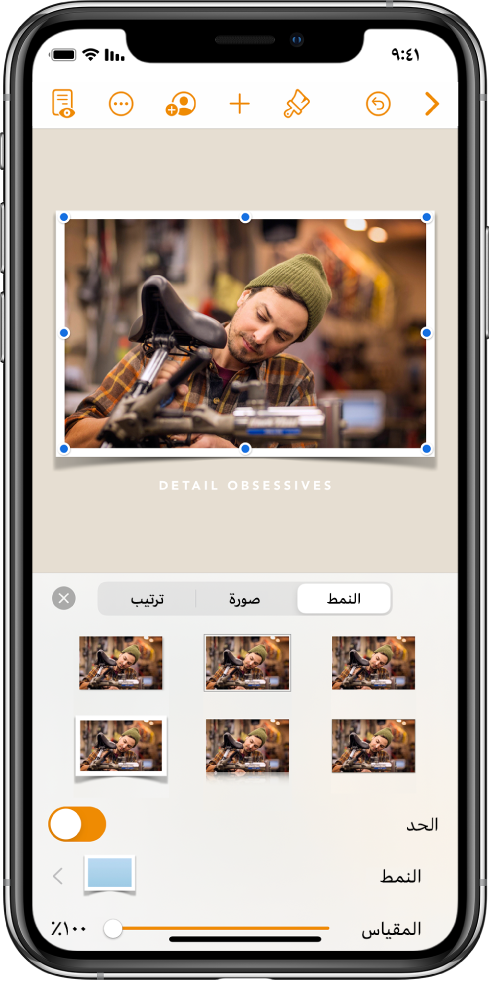 أدوات التحكم في التنسيق لتغيير حجم ومظهر الصورة المحددة. أزرار النمط وصورة وترتيب موجودة على طول الجزء العلوي من أدوات التحكم.