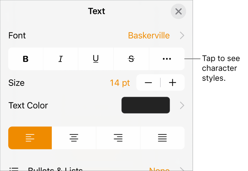 The Format controls with Bold, Italic, Underline, Strikethrough, and More Text Options buttons.