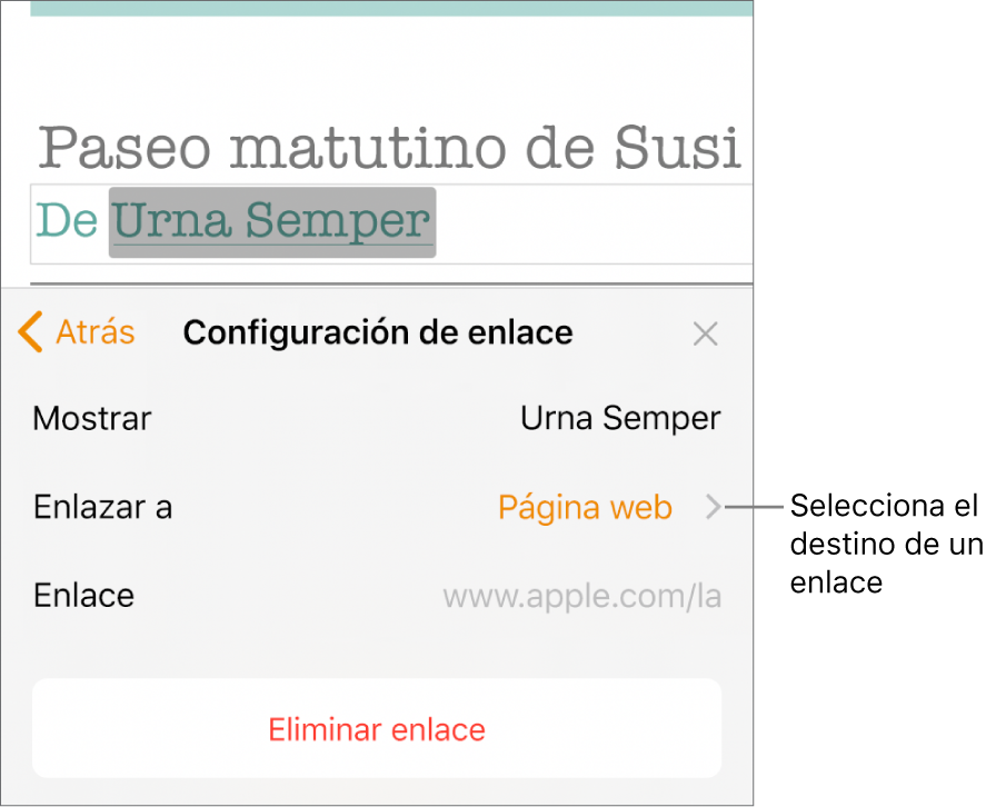 Los controles de “Configuración de enlace” con los campos “Mostrar” (establecido a “Pagina web”) y “Enlazar a”. Al final de los controles está la opción “Eliminar enlace”.