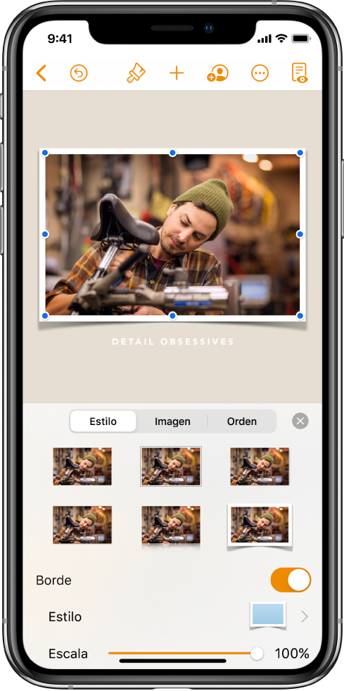 Los controles Formato para cambiar el tamaño y la apariencia de la imagen seleccionada. Los botones Estilo, Imagen y Orden se sitúan a lo largo de la parte superior de los controles.