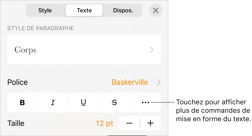 Onglet Texte des commandes Format accompagné d’une légende pour le bouton Plus d’options de texte.