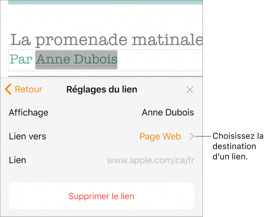 Les commandes Réglages du lien avec les champs Afficher, Lien vers (réglage : Page Web) et Lien. Le bouton Supprimer le lien se trouve au bas des commandes.
