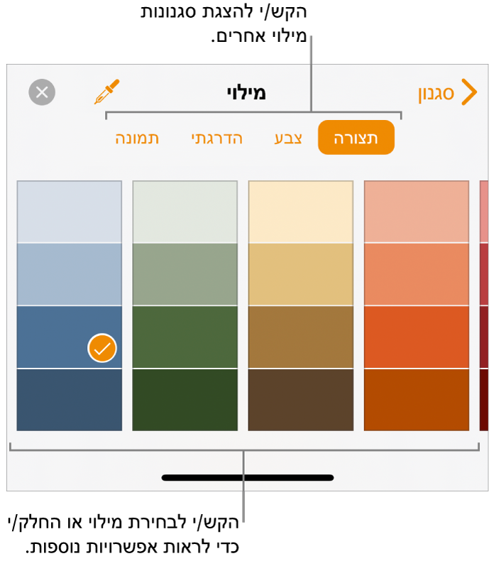 אפשרויות מילוי בכרטיסייה ״סגנון״ של הכפתור ״עיצוב״.