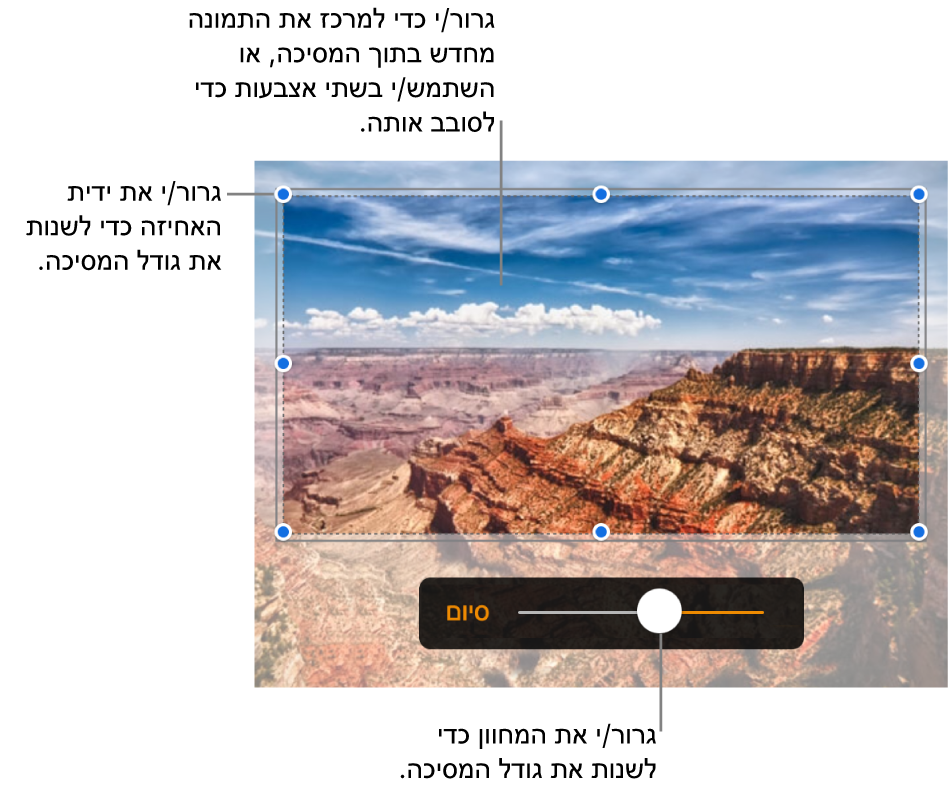כלי בקרה של מיסוך מעל תמונה.