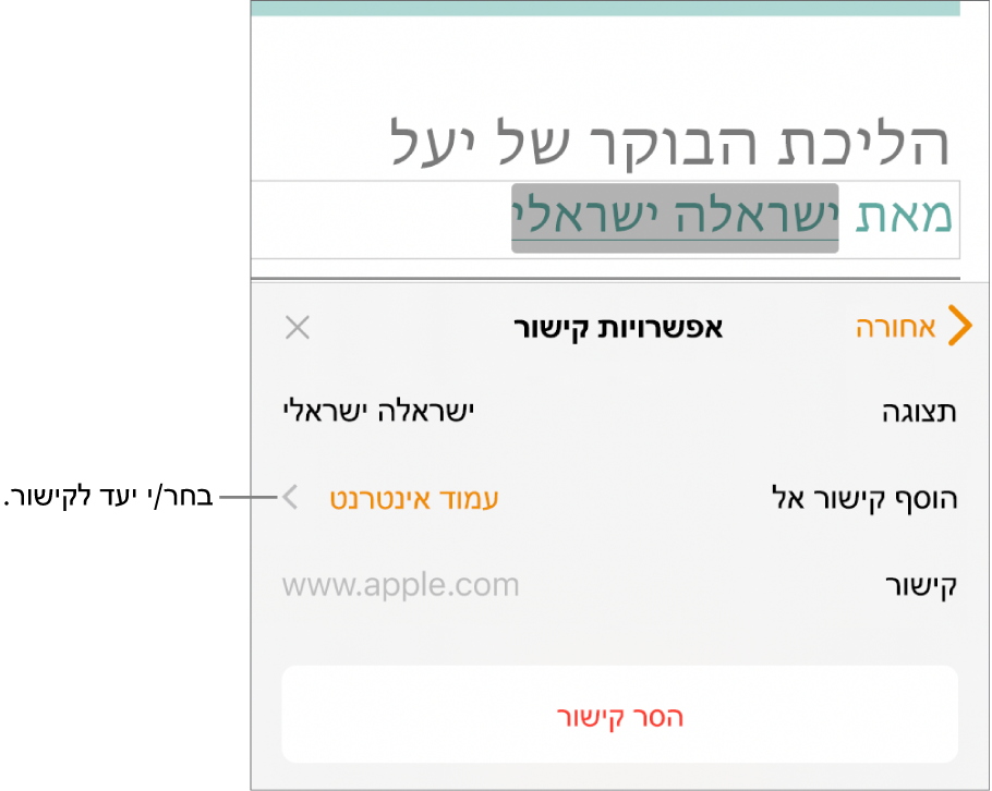 כלי הבקרה של ״הגדרות קישור״ עם שדה ״הצג״, ״קישור אל״ (מוגדר ל״עמוד אינטרנט״) ושדה ״קישור״. הכפתור ״הסר קישור״ מופיע בתחתית כלי הבקרה.