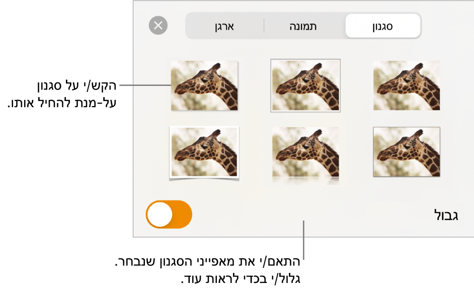 הכרטיסייה ״סגנון״ בתפריט ״עיצוב״ עם סגנונות אובייקטים בחלק העליון ומתחת להם כלי בקרה לשינוי הגבול.