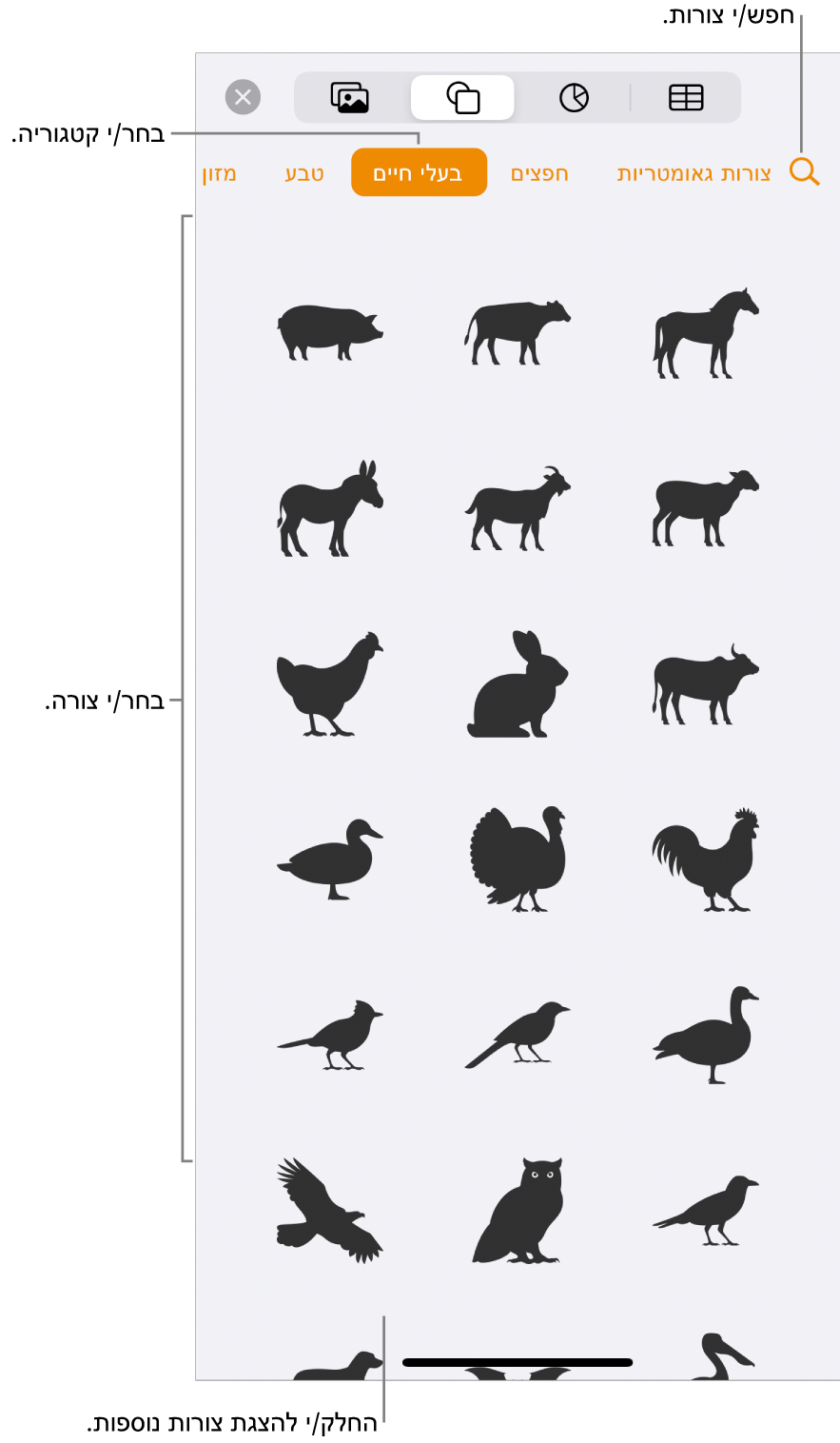 ספריית הצורות, כשקטגוריות מופיעות למעלה וצורות מוצגות למטה. ניתן להשתמש בכפתור החיפוש בראש המסך כדי למצוא צורות ולהחליק כדי להציג עוד.