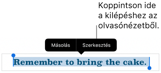 Egy kijelölt mondat, amely fölött a Másolás és Szerkesztés gombokat tartalmazó Helyi menü látható.