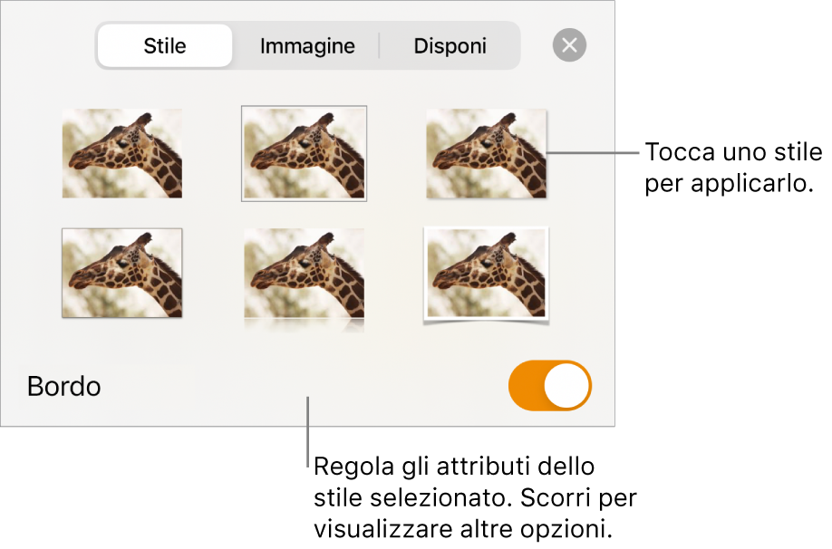 Pannello Stile con gli stili per le immagini nella parte superiore e il pulsante “Opzioni stile” nella parte inferiore.