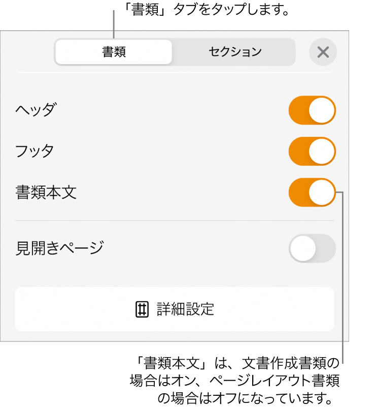 「書類」フォーマット用のコントロール。画面下部付近の「書類本文」がオンになっています。